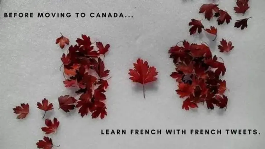 Why learn French for Canada